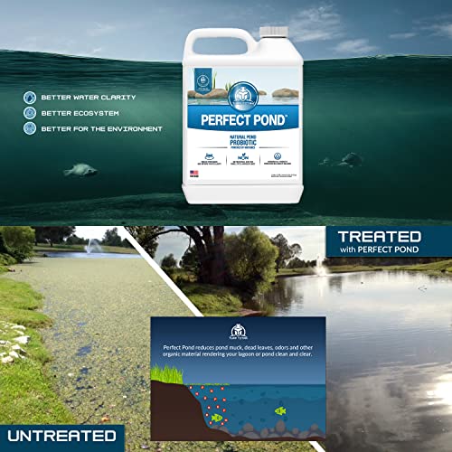Perfect Pond by Turf Titan, Natural Pond Cleaner with Microbes, Reduces