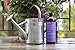 Cove Castile Soap Lavender - 1 Liter / 33.8 fl oz - Organic Argan, Jojoba, and Hemp Oils