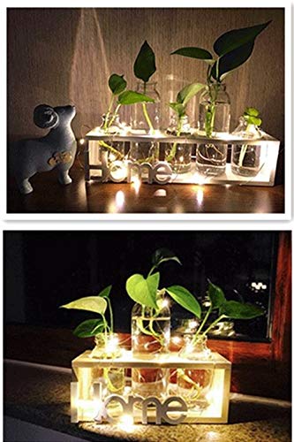 SUNRUNERS Bottel Light Glass Planter Hydroponics Terrarium with Wooden Stand for Home Office Decor Raw Wood 3 Terrarium