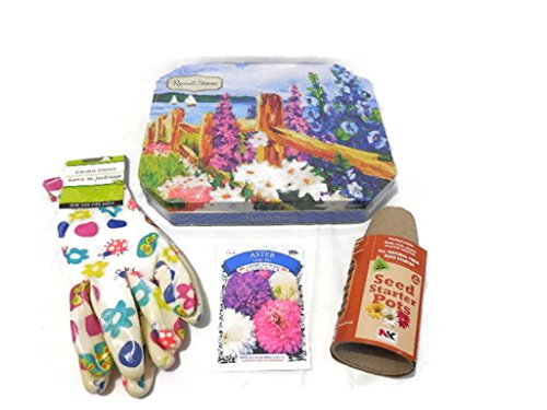 Russell Stover Premium Assorted Chocolates & Garden Lover's Gift Set (4 Item Bundle) Gloves Seed Pots Aster Crego Mix Seed Packet