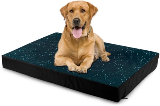 dog bed cushions
