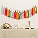 Ling's moment 20 PCS DIY Tissue Paper Tassel Banner, Unassembled Pompom Garland for Wedding, Bachelorette, Baby Shower, Birthday, Fiesta Fringe Party Banner, Home Decorations(Gold,Mint,Pink,Orange)