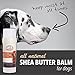 All Natural Shea Butter Balm for Dogs Treats Dry, Cracked, and Chapped Skin, Nose, and Paws. Coats, Soothes, and Heals Damaged Snouts and Pads. Mess Free and Easy to Use Application.