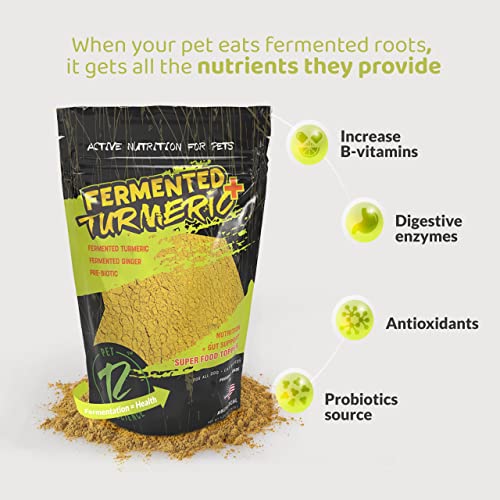 ROGUE PET SCIENCE Turmeric Plus for Dogs Tasty Powdered Ginger