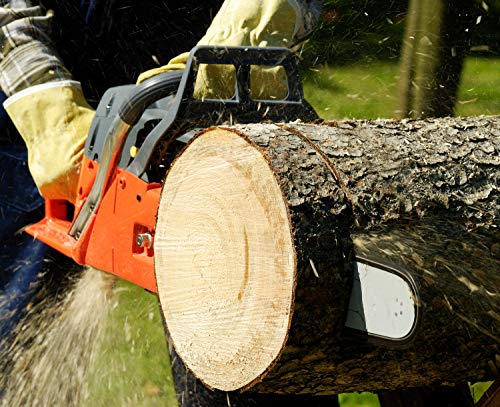 image for SUNGATOR Saw Chain, SG-S40 Chainsaw Chain, 10-Inch - .050