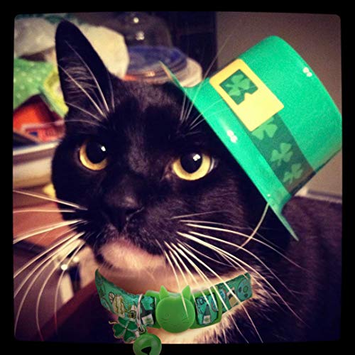 BoomBone St Patricks Day Cat Collar with Bell and Shamrocks Charm,Breakaway Small Dog Collar - Thumbnail 3