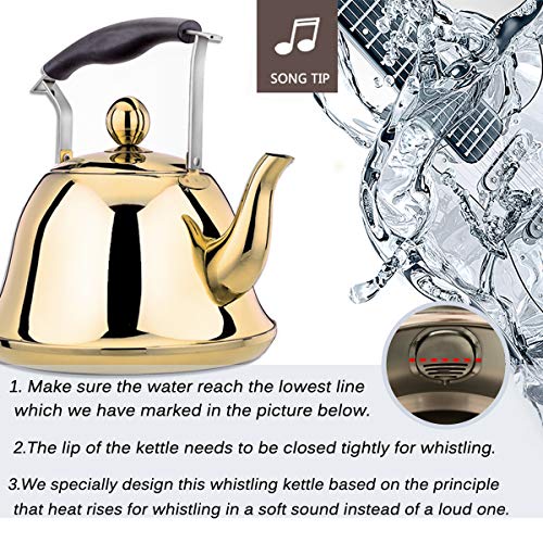 Gold Whistling Tea Kettle Stainless Steel Stovetop Teakettle Sturdy Teapot for Tea Coffee Fast Boiling with Infuser Color Gold Mirror Finish 2 Liter / 2.1 Quart (Gold)