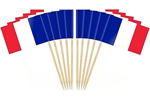 JAVD CYPS 100 Pcs France Flag French Toothpick Flags, Small Mini Stick Cupcake Toppers French Flags,Country Picks Party Decoration Celebration Cocktail Food Bar Cake Flags