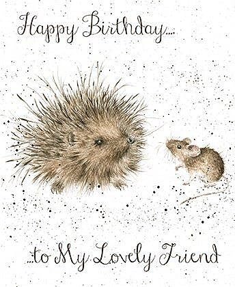 Greetings Card - WRE2227 - Fun, Feathers and Whiskers - Happy Birthday - Hedgehog and Mouse