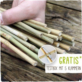 25 Bambusstäbe - Tonkinstäbe 105 cm lang/ 8-10 mm dick + Zubehör im Set