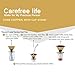 Clever Coffee Filter /Dripper - Titanium Coated Gold Stainless Steel Coffee Filter with Cup Stand, Permanent Reusable Paperless Hand Cone Drip Pour Over Coffee filters -Carefree Life (Gold)
