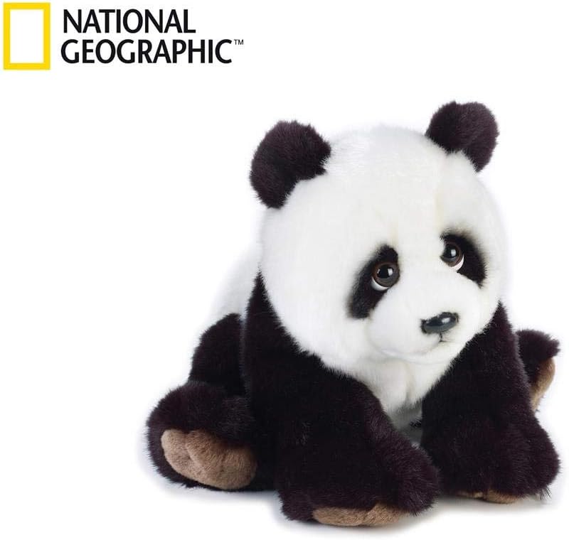 Vent Orso Panda Medio 692250 Pots Pans Amazon Canada