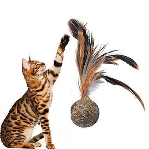 Catnip Toy Feathers Interactive Cat Toys Feather Shuttlecock Pet Cat Chewing Tease Toy