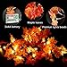 6 Pack Fall Garland with Lights Thanksgiving Decor Total 60FT & 120 Lights Maple Leaves String Lights Thanksgiving Halloween Garland Waterproof 3AA Battery Powered for Thanksgiving Fireplace Outdoor D