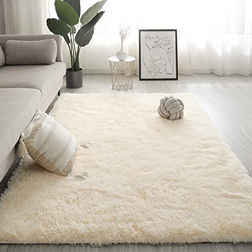 Modern Area Rugs Soft Decor Rug for Bedroom Living Room Nursery