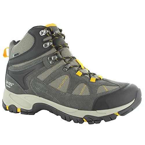 Hi-Tec Men's Altitude Lite I Waterproof Hiking Boot, Charcoal/Warm Grey/Gold,7.5 M US