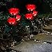 Anordsem Rose Lights Solar Powered for Women: Garden Light Waterproof for Yard Decorations Outdoor - Flower Lamp Colorful Lighting Cemetery Decor - Valentine's Mother's Day Gifts for Mom Wife