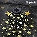 Maggift 2 Pack Star Solar Lantern Solar Powered Decorative Hanging lights for Indoor Outdoor Halloween Christmas Garden Patio Yard Holiday Party