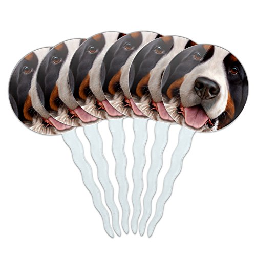 Graphics and More Bernese Mountain Dog Face Closeup Cupcake Picks Toppers Decoration Set of 6