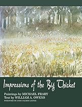 Impressions of the Big Thicket (Blaffer Series of Southwestern Art)