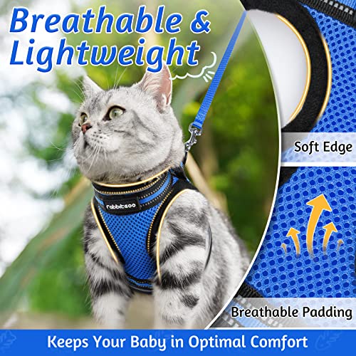 rabbitgoo Cat Harness and Leash Set for Walking Escape Proof, Adjustable Soft Kittens Vest with