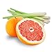 Beessential All Natural Bulk Foaming Hand Soap Refill, 16 oz 2 Pack Grapefruit | Made with Moisturizing Aloe & Honey - Made in the USA
