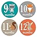 Pinkie Penguin Woodland Animals Baby Monthly Stickers - Milestone Onesie Stickers - Baby Boy - 1-12 Months - Baby Shower Gift