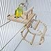 Bird Perches Cage Toys，Small Animals Nest Wooden Hanging Toy，Parrot Play Gym Stands with Acrylic Wood Swing,Rattan Ball,Ferris Wheel，Pet Training Playstand for Cockatiels/Conures/Hamster/Rat/Squirrelthumb 3