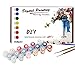 DoMyArt Paint by Number Kit for Adults - Seated Woman in a Garden by Picasso 16X20 Inch