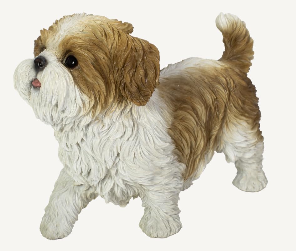 Vivid Arts - Active Pups Brown Shih Tzu - AP-STZU-D