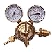 BETOOLL Nitrogen Regulator with 0-400 PSI Delivery Pressure Equipment Brass Inlet Outlet Connection Gauges