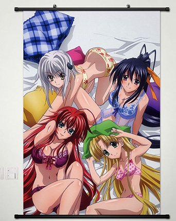 Amazon Com Home Decor High School Dxd New Cosplay Wall Scroll