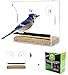 Crystal Clear Bird Feeder - Suction Window Feeders Birds, Cats and Kids Love - Easy to Clean and Fill - See Cardinals, Finches and Orioles Feed Inches from Kitchen Windows