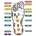 Acupressure Magnetic Massage Foot Therapy Reflexology Pain Relief Shoe Insoles 1 Pair Washable and Cuttable, Maximum Size is 10.6 Inch (Men and Women)