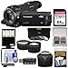 Panasonic HC-WXF991 Wi-Fi 4K Ultra HD Video Camera Camcorder with 64GB Card + Case + LED Light + 3 Filters + Tele/Wide Lens Kit