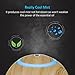 ARCHEER Aromatherapy Essential Oil Diffuser, 300ML Ultrasonic Cool Mist Humidifier with Color LED Lights Changing & 4 Timer Settings for Office Home Bedroom Living Room Study Yoga Spa - Wood Grain