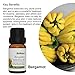 Benatu Citrus Scent Diffuser Oil for Home - (Sweet Orange, Grapefruit, Bergamot) Pure Essential Oil Sets for Soap Making, Body Massage, Aromatherapy