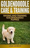 Goldendoodle Care & Training: The Complete Guide On Raising, Training, & Caring For Goldendoodle Puppies