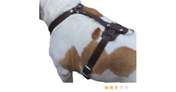 great dane harness amazon