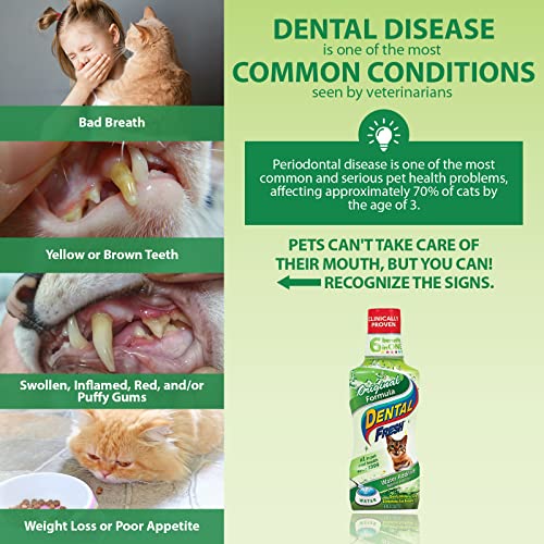 Dental Fresh Water Additive for Cats, Original Formula, 8 oz Bad