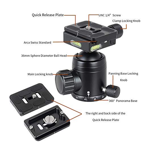 XILETU T284C+FB1 Carbon Fiber Tripod & Ball Head and Removable Monopod