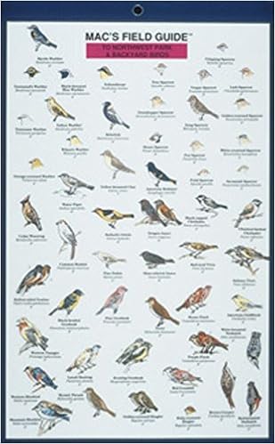 Northwest Park And Backyard Birds Mac S Guides Laminated Card