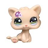 Custom-Made Baby Kitty Pet Shop Toy Short Hair Cat
