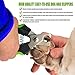 Dog Nail Clippers with Safety Guard - Superior Sharpness - Veterinarian Designed - for Medium and Large Dogs - Professional Stainless Steel Dog Nail Trimmers