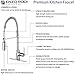 Enzo Rodi ERF7209251AP-10 Modern Commercial Kitchen Faucet With Pull-Down Sprayer,Stainless Steel