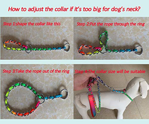 small dog chain collar