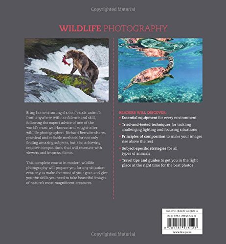 Wildlife Photography: An expert guide - Thumbnail 2