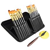 Rhodesy Acrylic Paint Brush Set of 15 Different