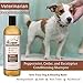 4Legger Organic Dog Shampoo and Conditioner USDA Certified - All Natural Concentrated Cedar Dog Shampoo with Peppermint, and Eucalyptus - Dog Shampoo for Itchy Skin - Dog Shampoo for Smelly Dogs 16 oz