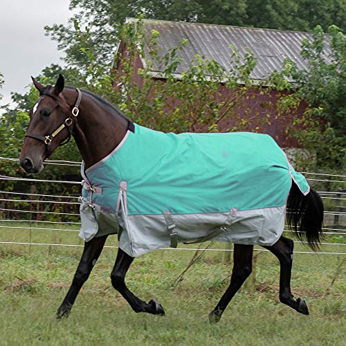 CHEAP Chicks Rugged Ride 1200 Denier Midweight Waterproof Turnout Blanket 200 Gram Fill